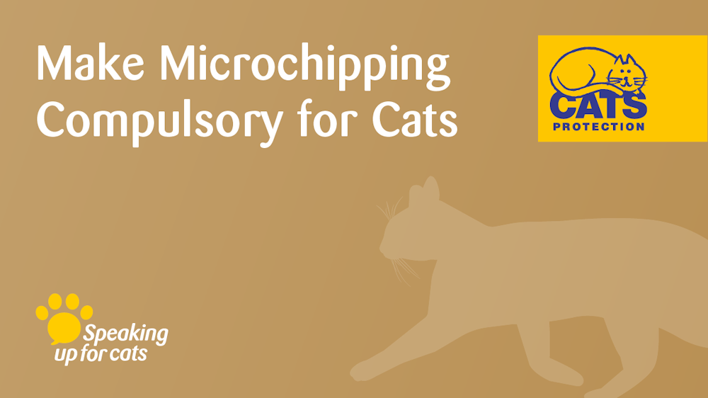 Make Microchipping Compulsory for Cats