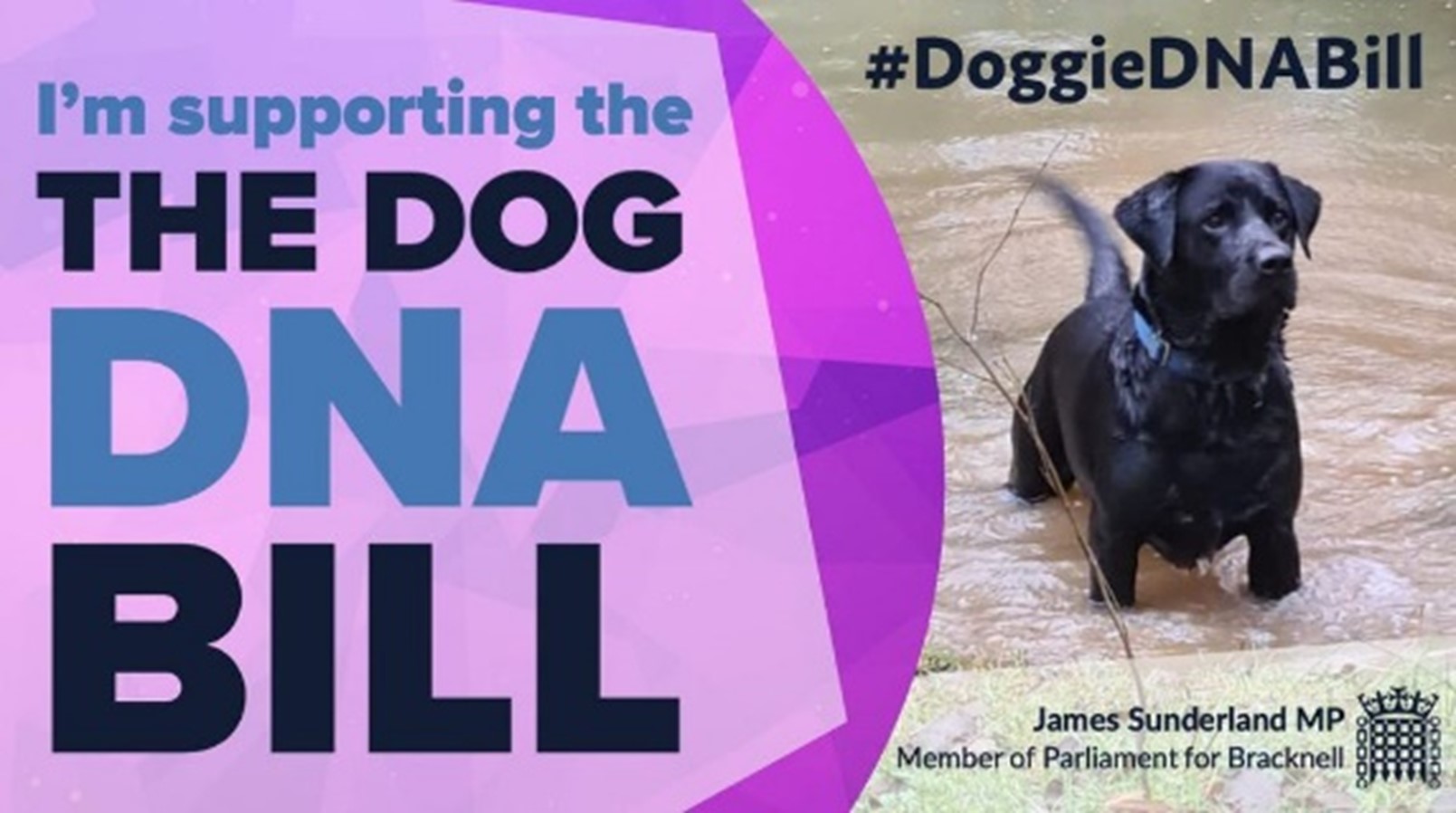 Dog DNA Bill