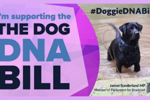 Dog DNA Bill
